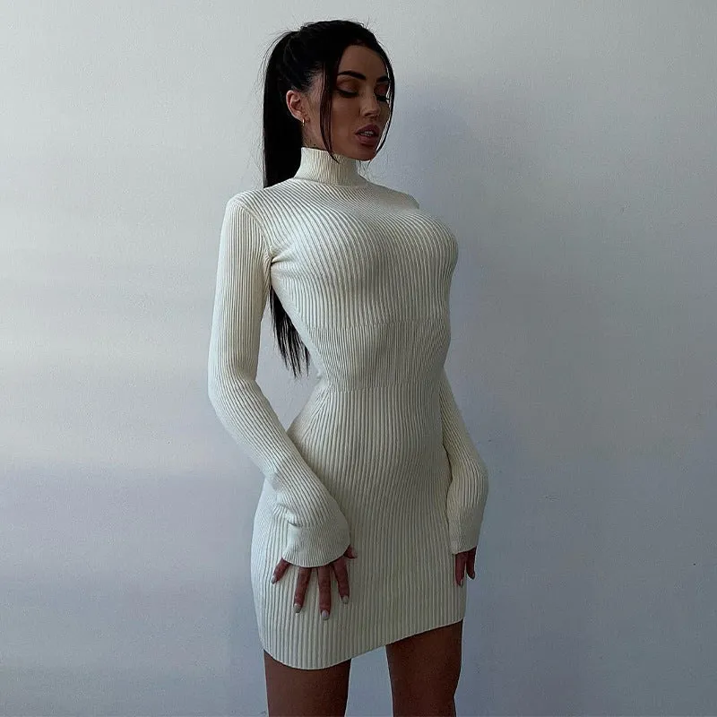 BerryBetty - Ashley Long Sleeve High Neck Knitted Mini Dress