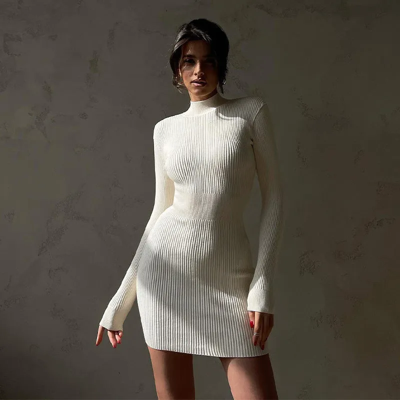 BerryBetty - Ashley Long Sleeve High Neck Knitted Mini Dress